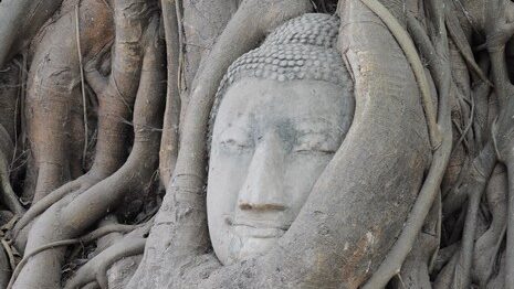 วัดมหาธาตุ อยุธยา เที่ยวชมเศียรพระในรากไม้สุด Unseen เสริมสิริมงคลมรดกโลก